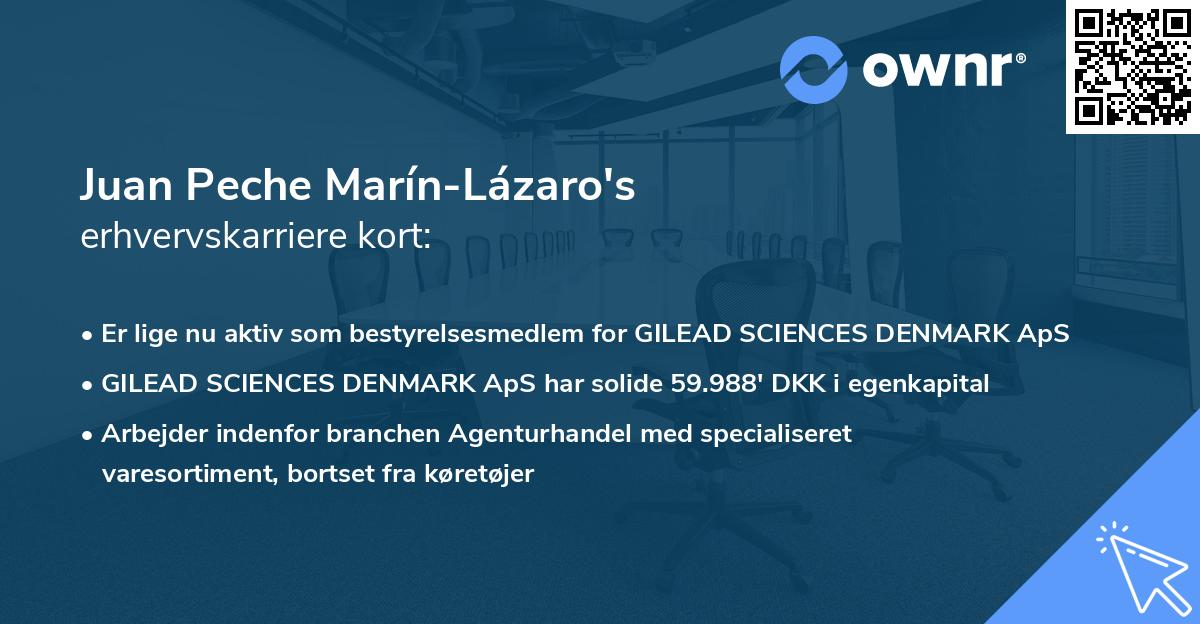 Juan Peche Marín-Lázaro's erhvervskarriere kort