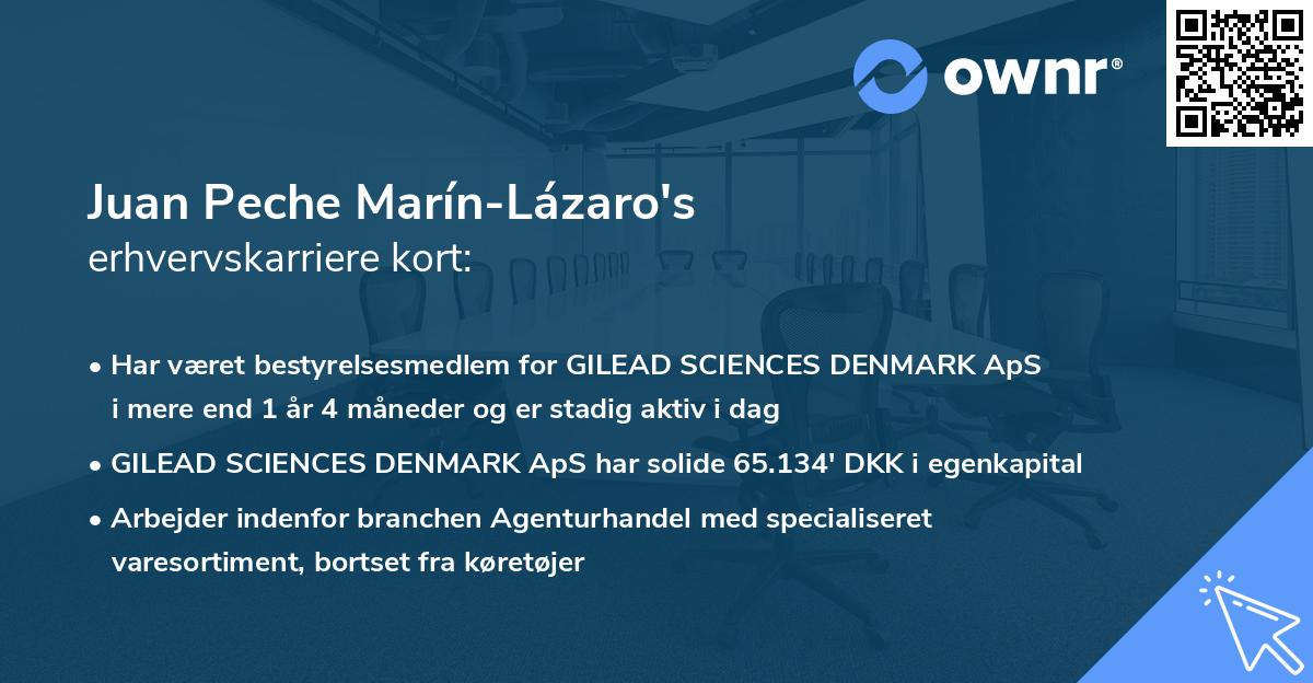 Juan Peche Marín-Lázaro's erhvervskarriere kort