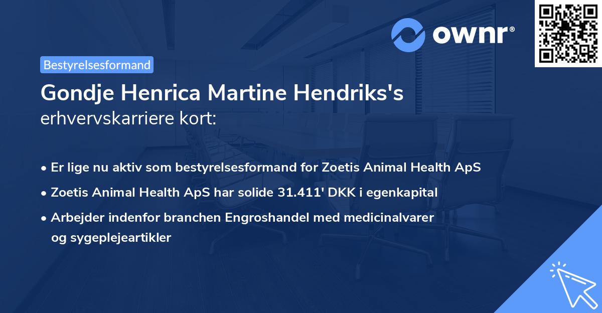 Gondje Henrica Martine Hendriks's erhvervskarriere kort