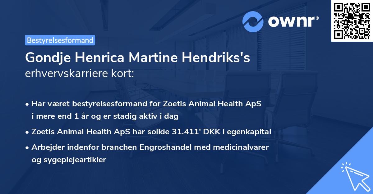 Gondje Henrica Martine Hendriks's erhvervskarriere kort