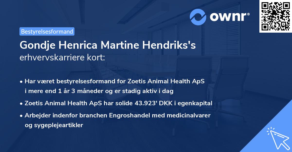 Gondje Henrica Martine Hendriks's erhvervskarriere kort
