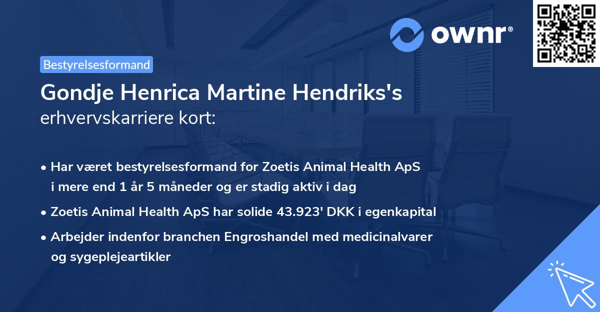 Gondje Henrica Martine Hendriks's erhvervskarriere kort