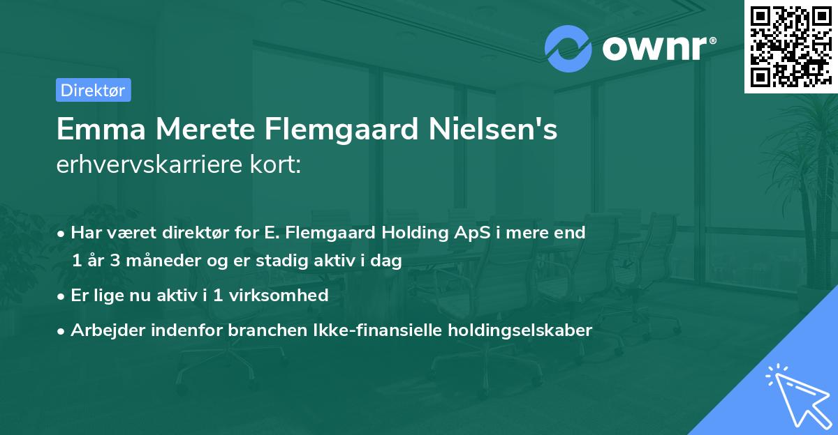Emma Merete Flemgaard Nielsen's erhvervskarriere kort