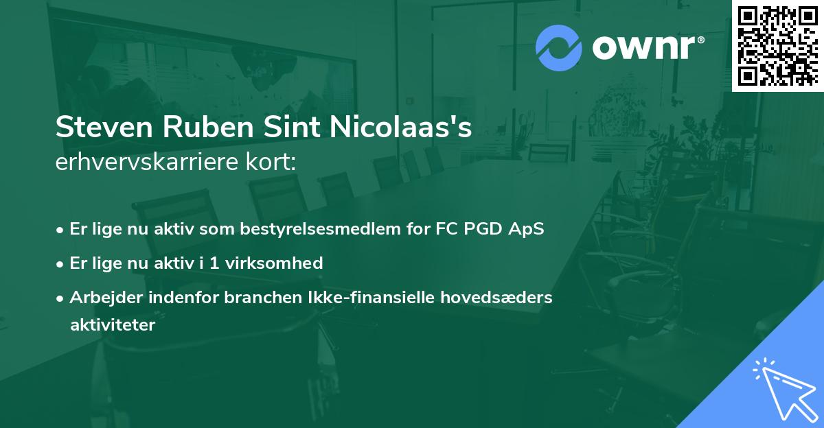 Steven Ruben Sint Nicolaas's erhvervskarriere kort