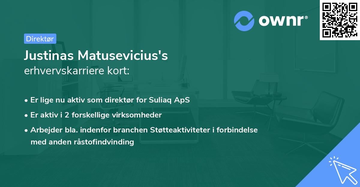 Justinas Matusevicius's erhvervskarriere kort