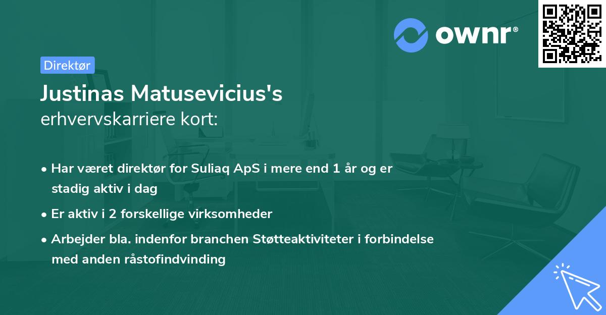 Justinas Matusevicius's erhvervskarriere kort