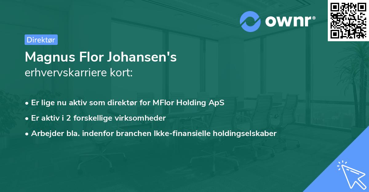 Magnus Flor Johansen's erhvervskarriere kort