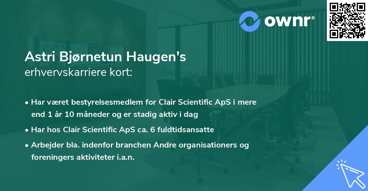 Astri Bjørnetun Haugen's erhvervskarriere kort