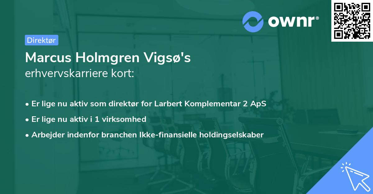Marcus Holmgren Vigsø's erhvervskarriere kort