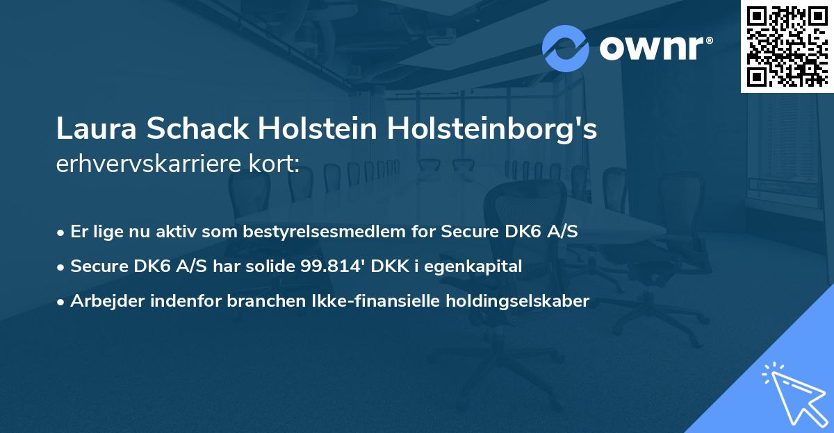Laura Schack Holstein Holsteinborg's erhvervskarriere kort