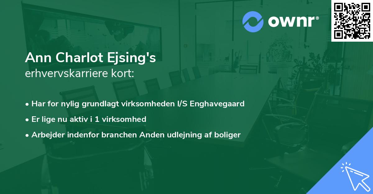 Ann Charlot Ejsing's erhvervskarriere kort