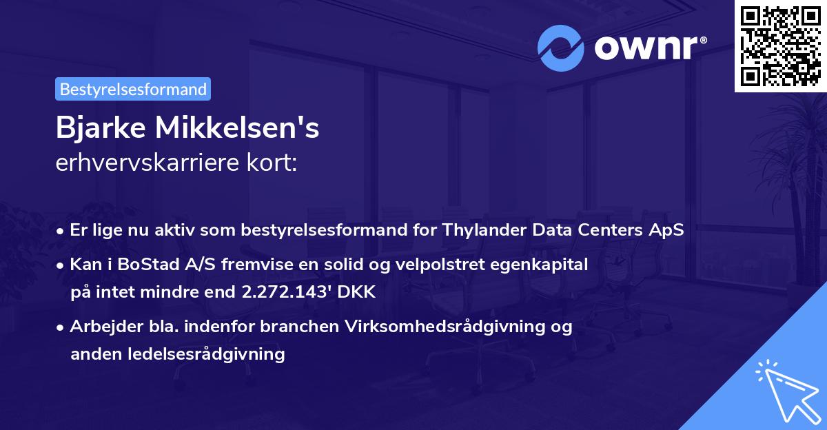 Bjarke Mikkelsen's erhvervskarriere kort
