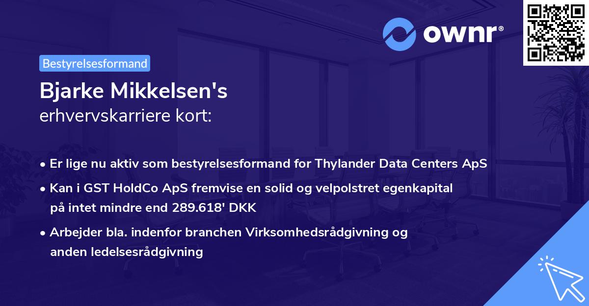 Bjarke Mikkelsen's erhvervskarriere kort