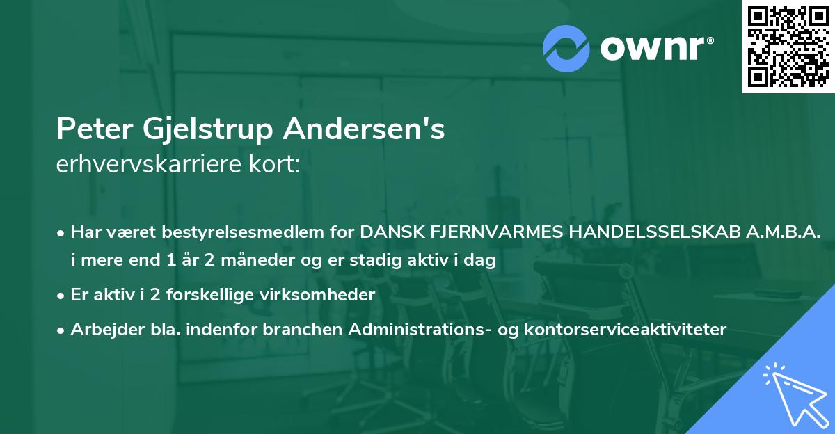 Peter Gjelstrup Andersen's erhvervskarriere kort