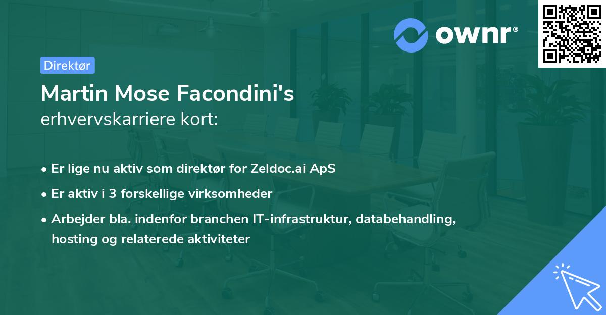 Martin Mose Facondini's erhvervskarriere kort