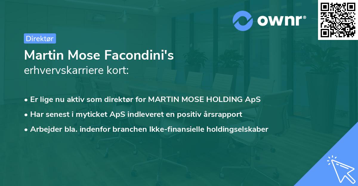 Martin Mose Facondini's erhvervskarriere kort