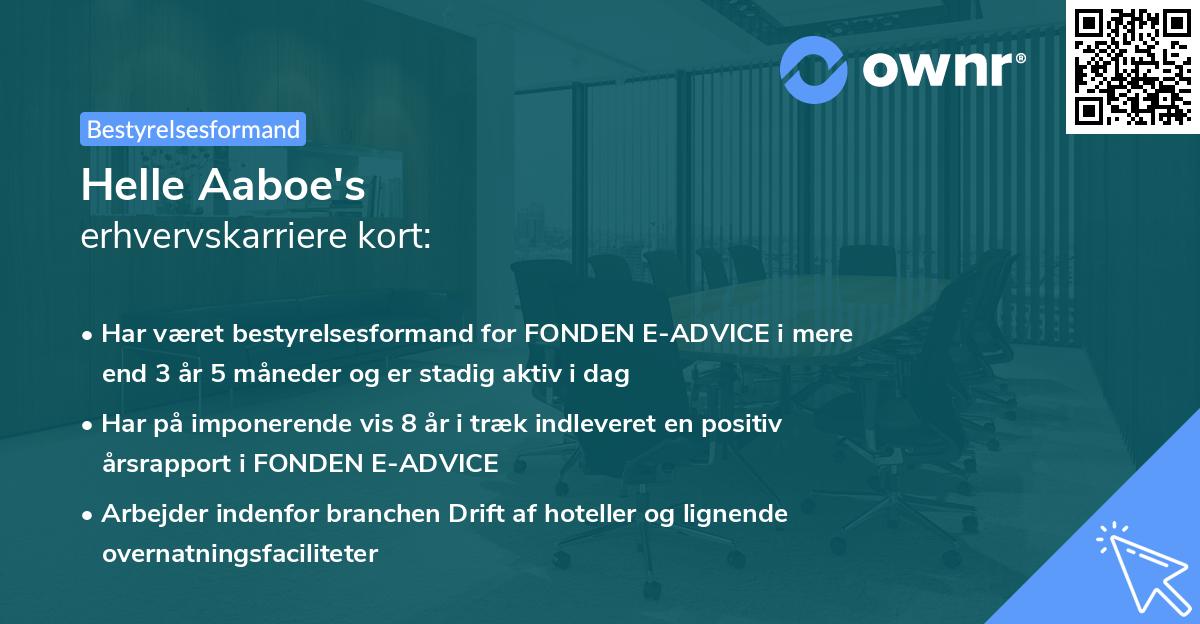 Helle Aaboe's erhvervskarriere kort