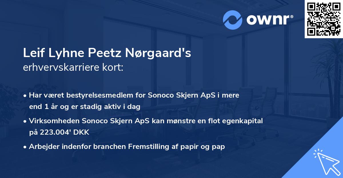 Leif Lyhne Peetz Nørgaard's erhvervskarriere kort