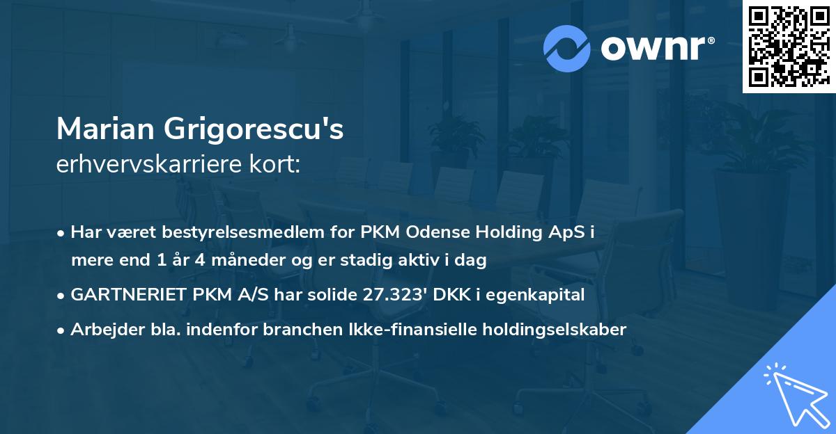 Marian Grigorescu's erhvervskarriere kort