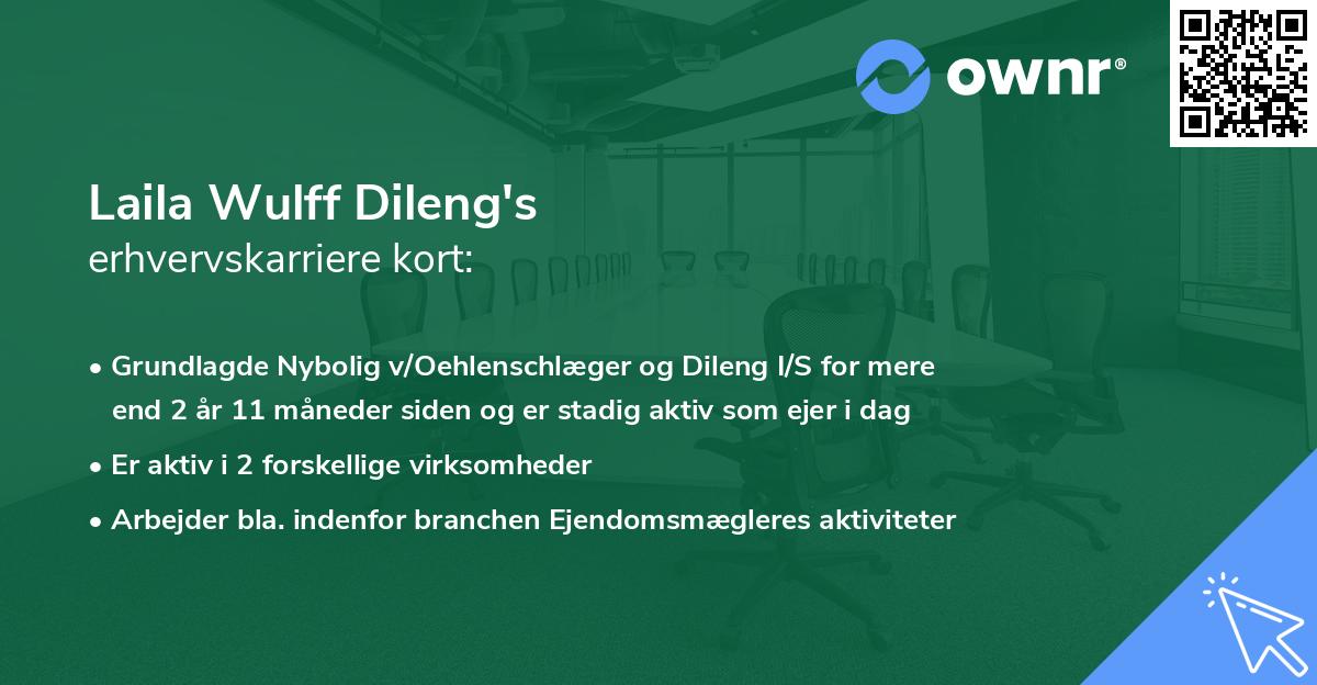 Laila Wulff Dileng's erhvervskarriere kort