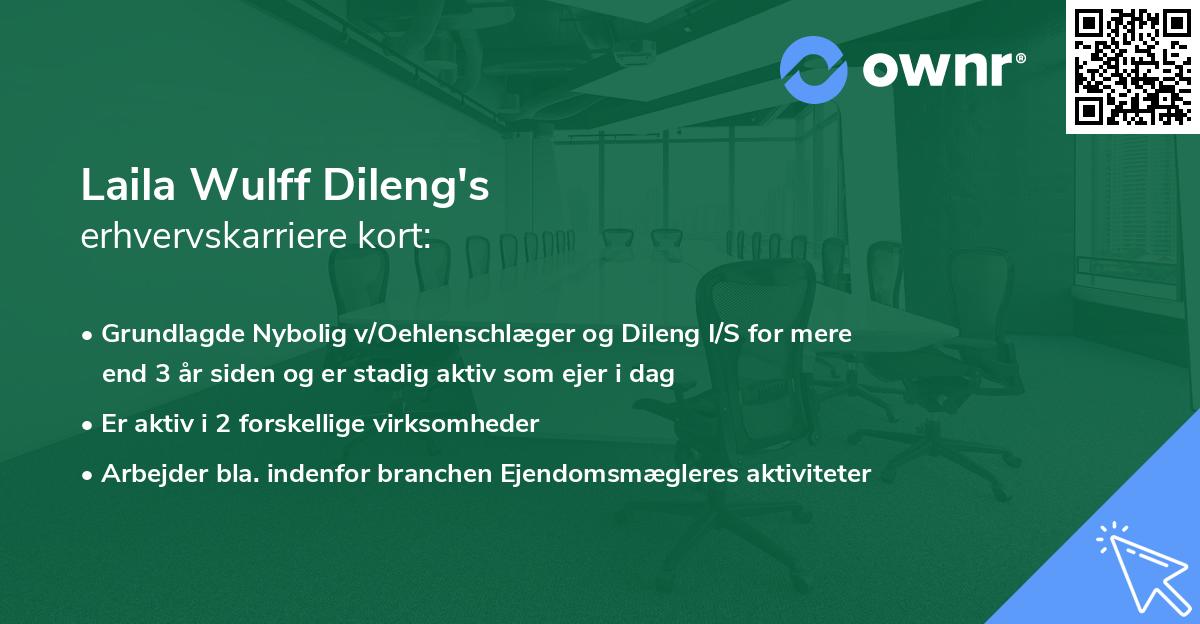 Laila Wulff Dileng's erhvervskarriere kort
