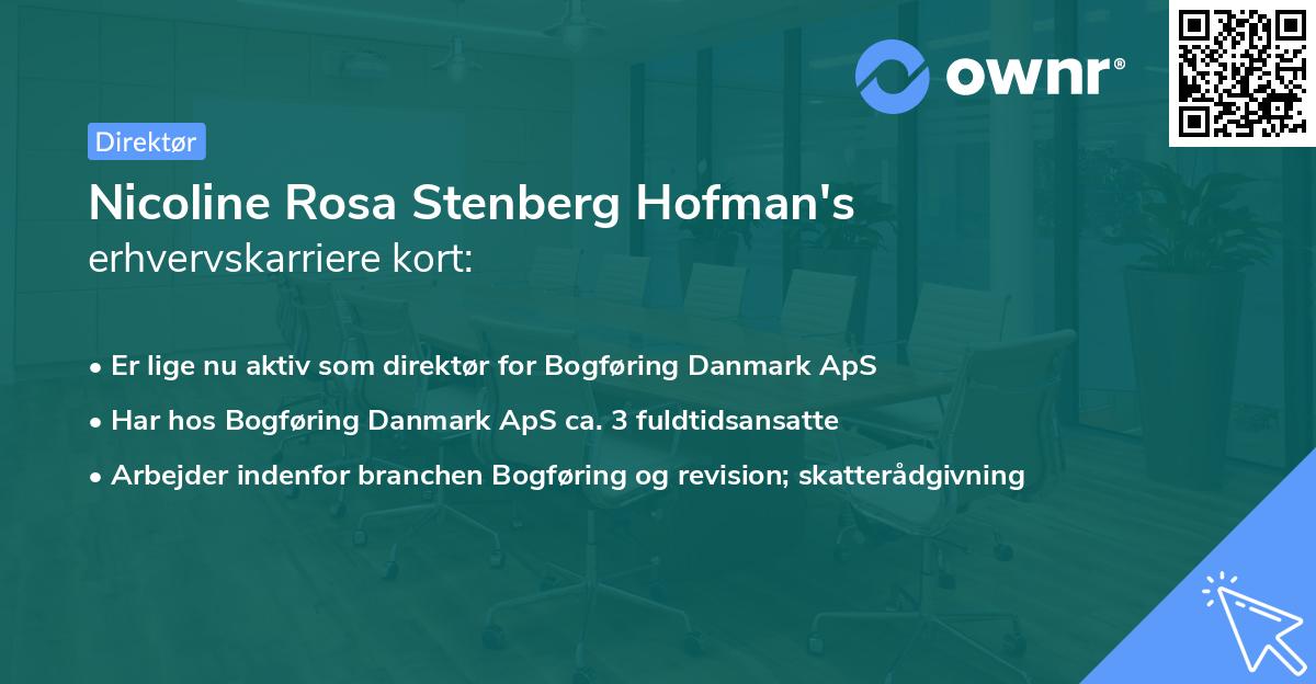 Nicoline Rosa Stenberg Hofman's erhvervskarriere kort