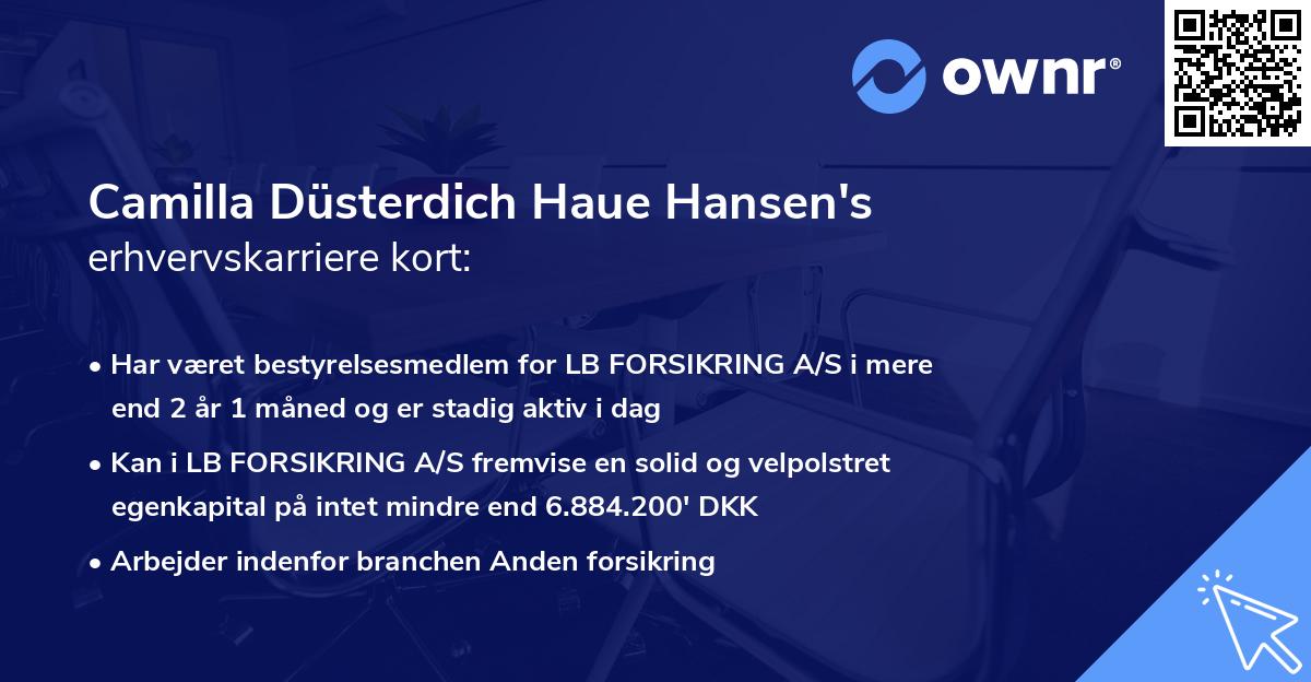 Camilla Düsterdich Haue Hansen's erhvervskarriere kort