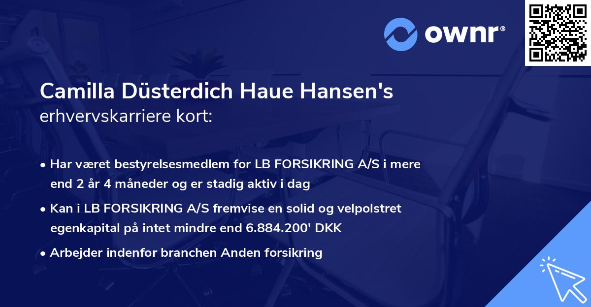 Camilla Düsterdich Haue Hansen's erhvervskarriere kort