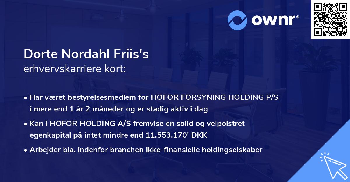 Dorte Nordahl Friis's erhvervskarriere kort