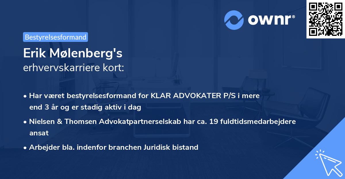 Erik Mølenberg's erhvervskarriere kort