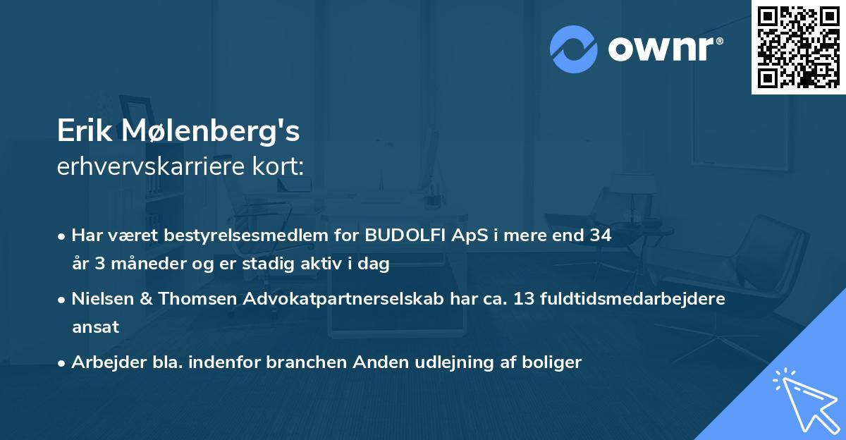 Erik Mølenberg's erhvervskarriere kort