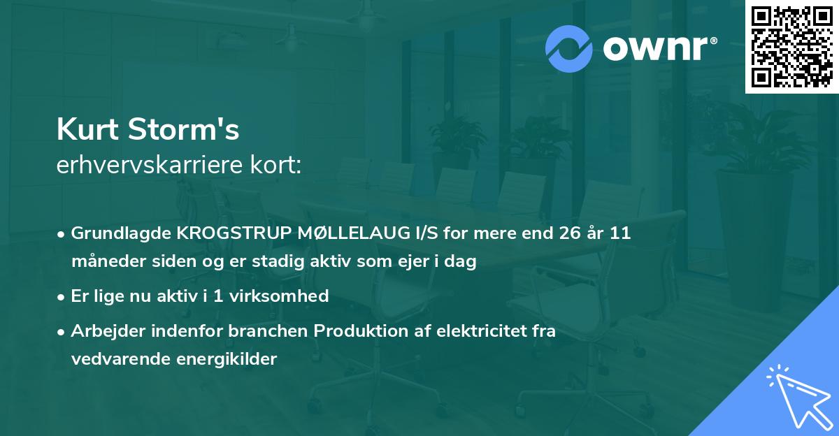 Kurt Storm's erhvervskarriere kort