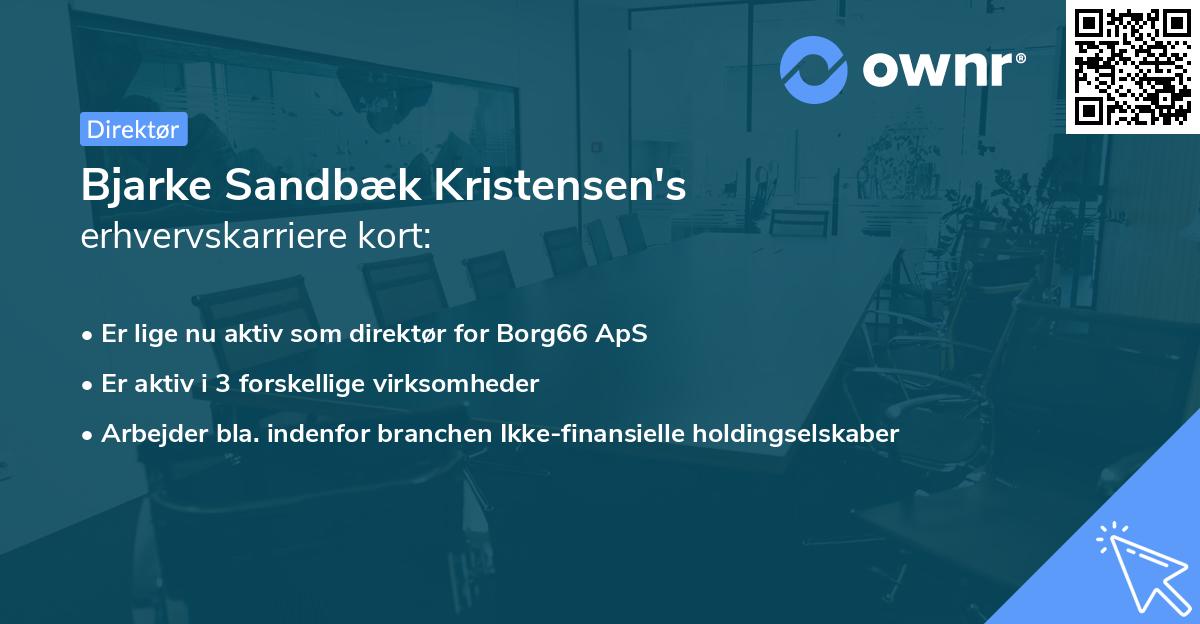 Bjarke Sandbæk Kristensen's erhvervskarriere kort
