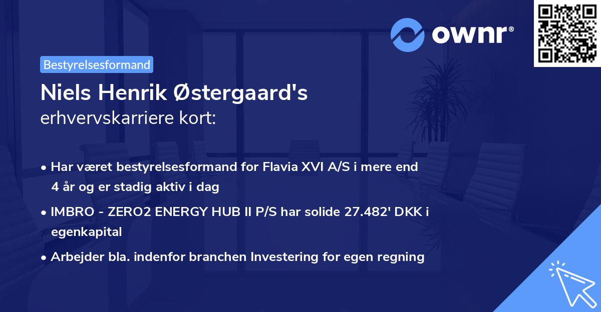 Niels Henrik Østergaard's erhvervskarriere kort