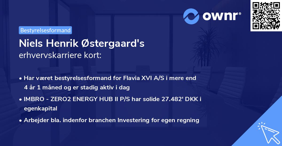 Niels Henrik Østergaard's erhvervskarriere kort