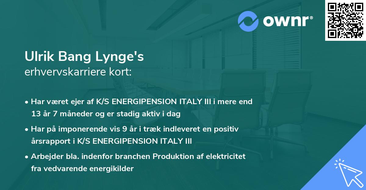 Ulrik Bang Lynge's erhvervskarriere kort