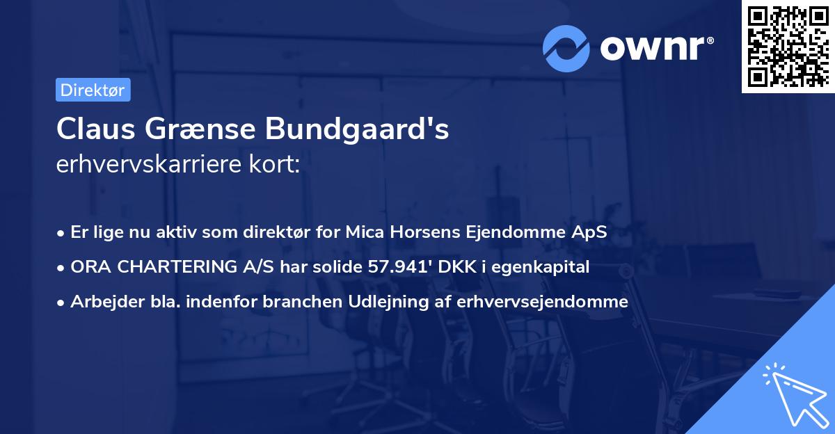 Claus Grænse Bundgaard's erhvervskarriere kort