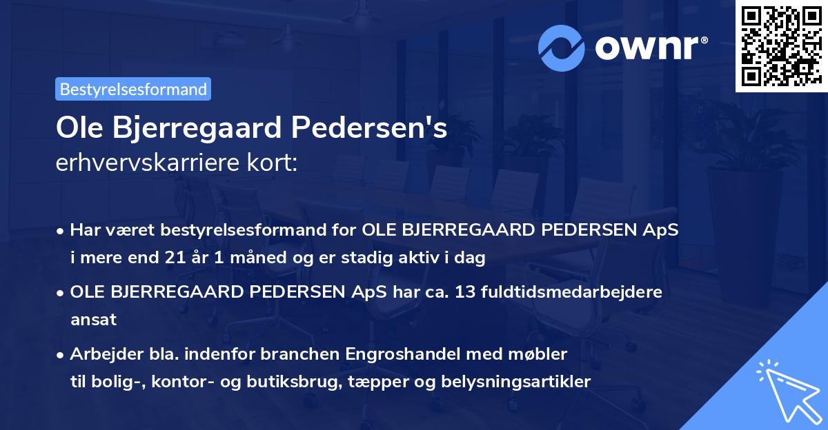 Ole Bjerregaard Pedersen's erhvervskarriere kort