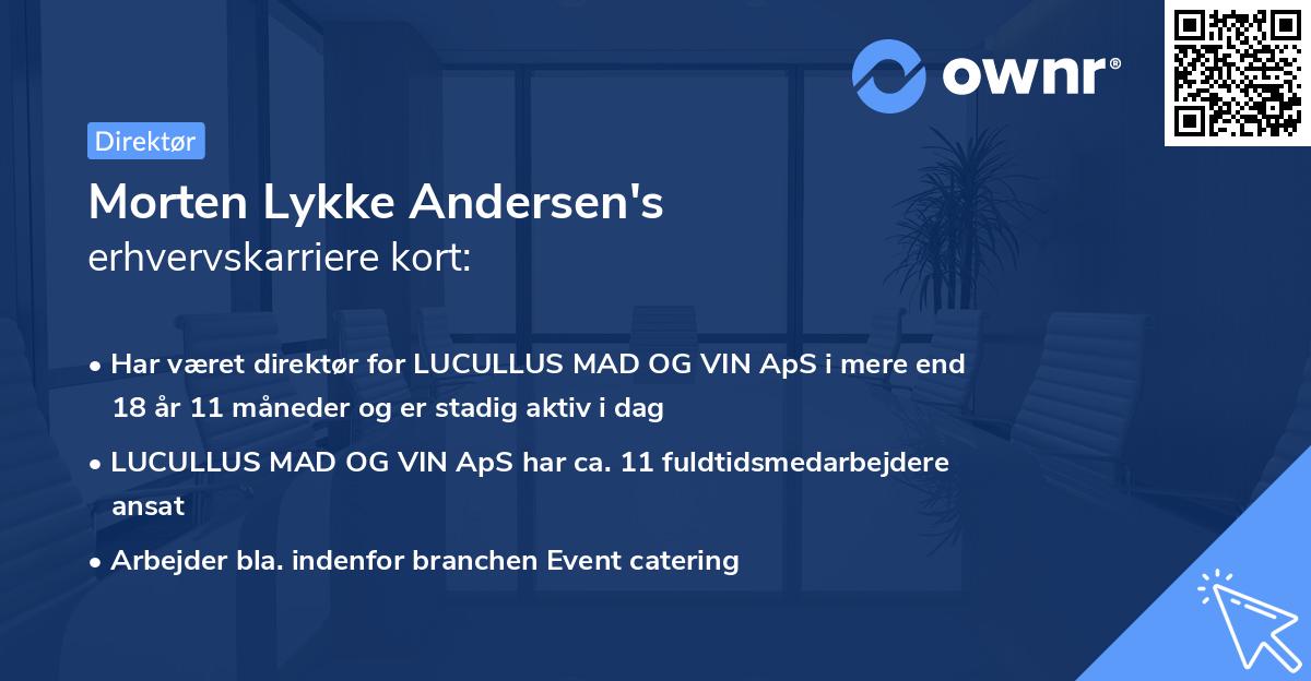 Morten Lykke Andersen's erhvervskarriere kort
