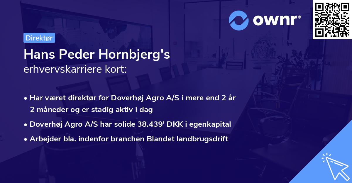 Hans Peder Hornbjerg's erhvervskarriere kort