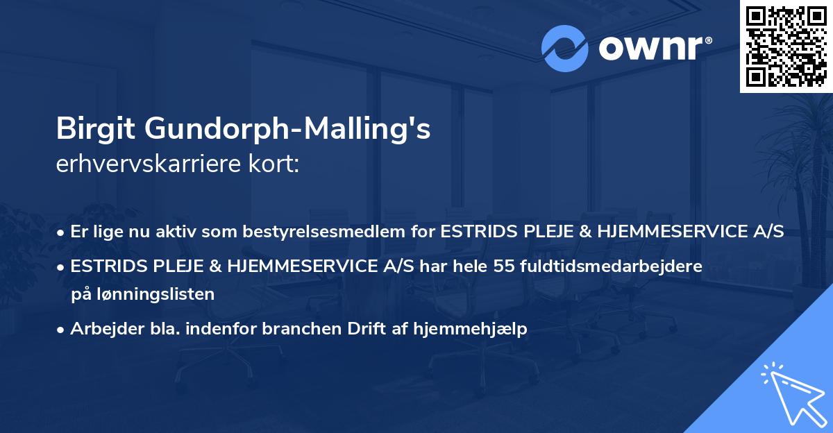Birgit Gundorph-Malling's erhvervskarriere kort