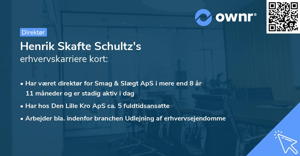 Henrik Skafte Schultz's erhvervskarriere kort