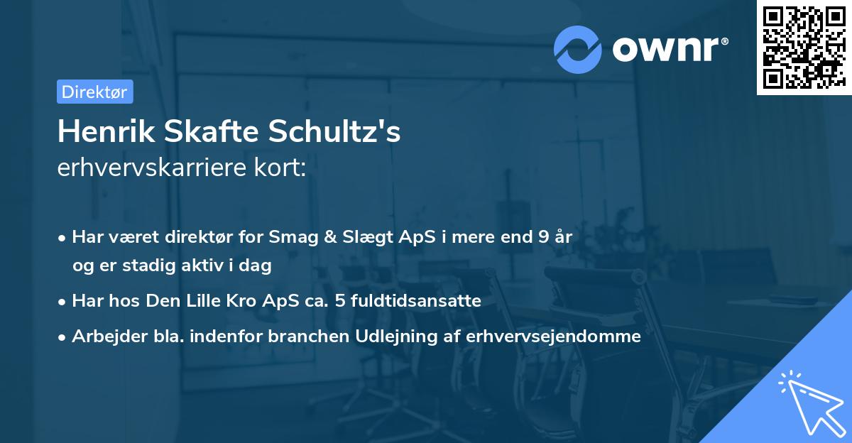 Henrik Skafte Schultz's erhvervskarriere kort