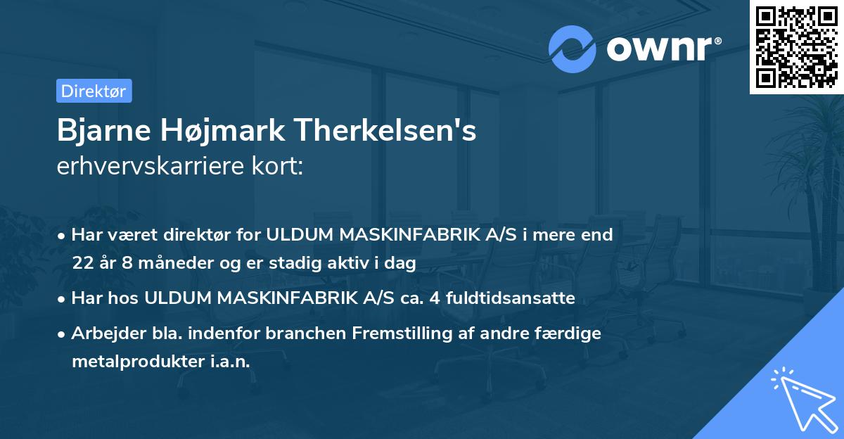 Bjarne Højmark Therkelsen's erhvervskarriere kort