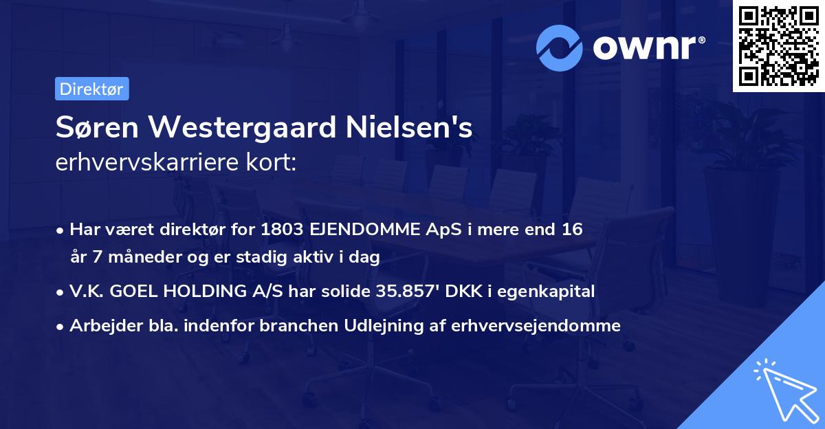 Søren Westergaard Nielsen's erhvervskarriere kort