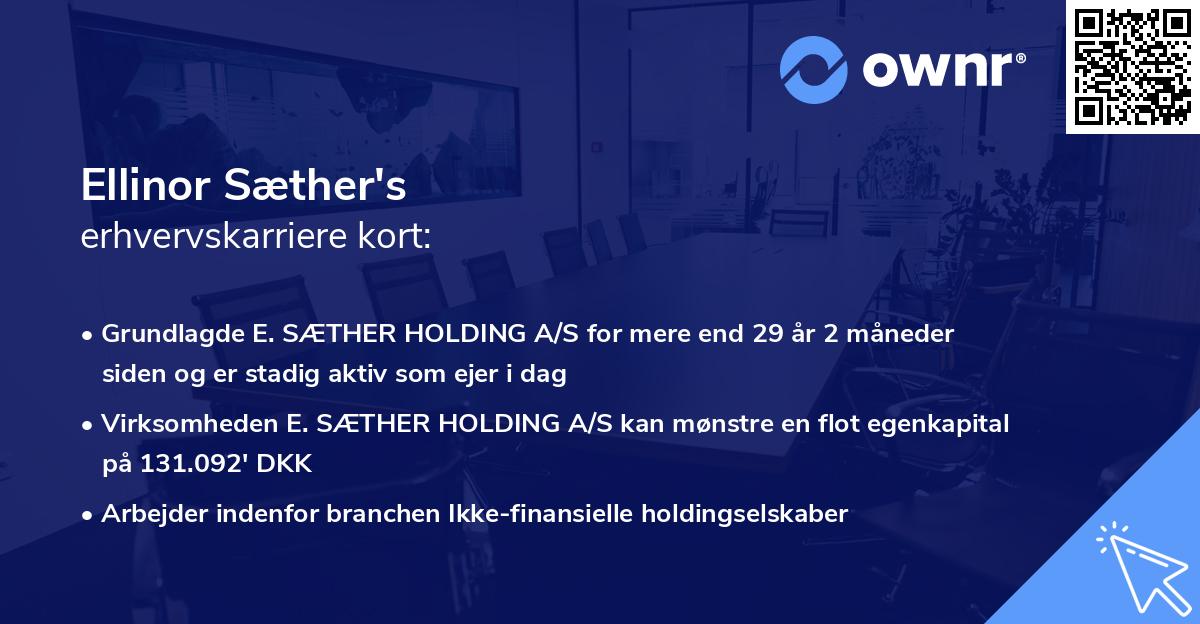 Ellinor Sæther's erhvervskarriere kort