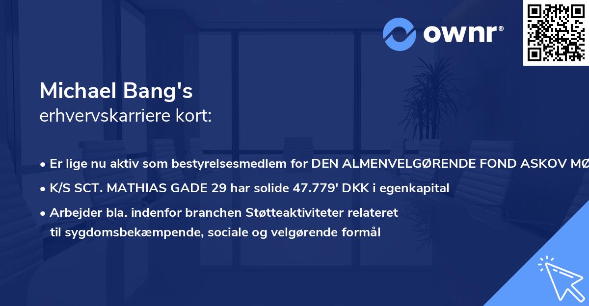 Michael Bang's erhvervskarriere kort