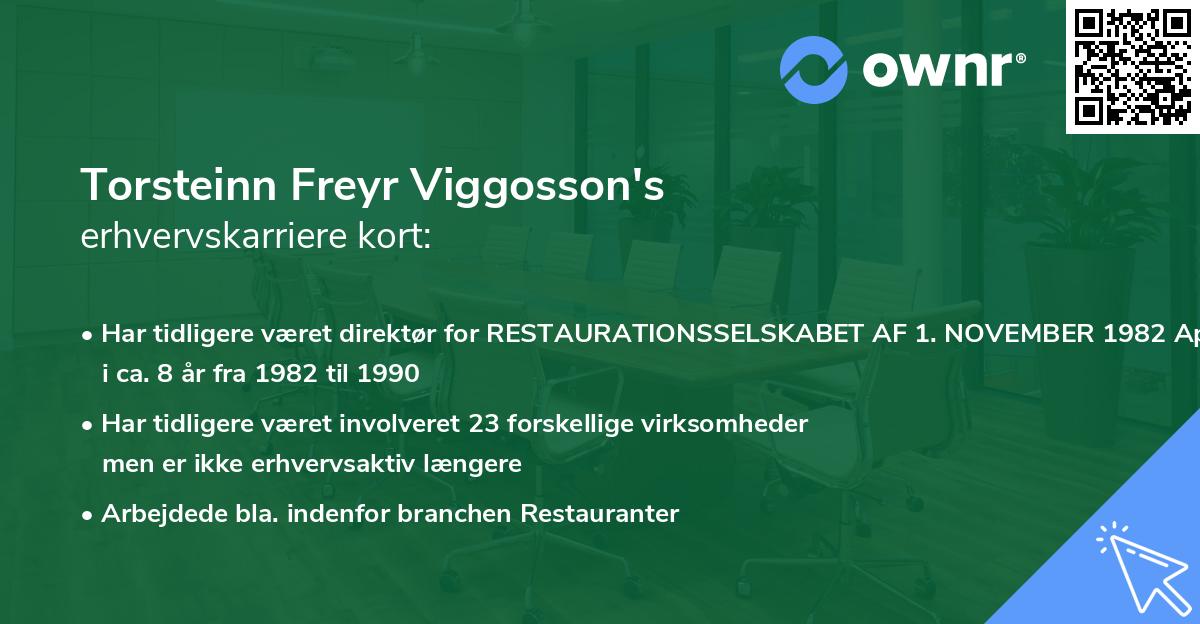 Torsteinn Freyr Viggosson's erhvervskarriere kort