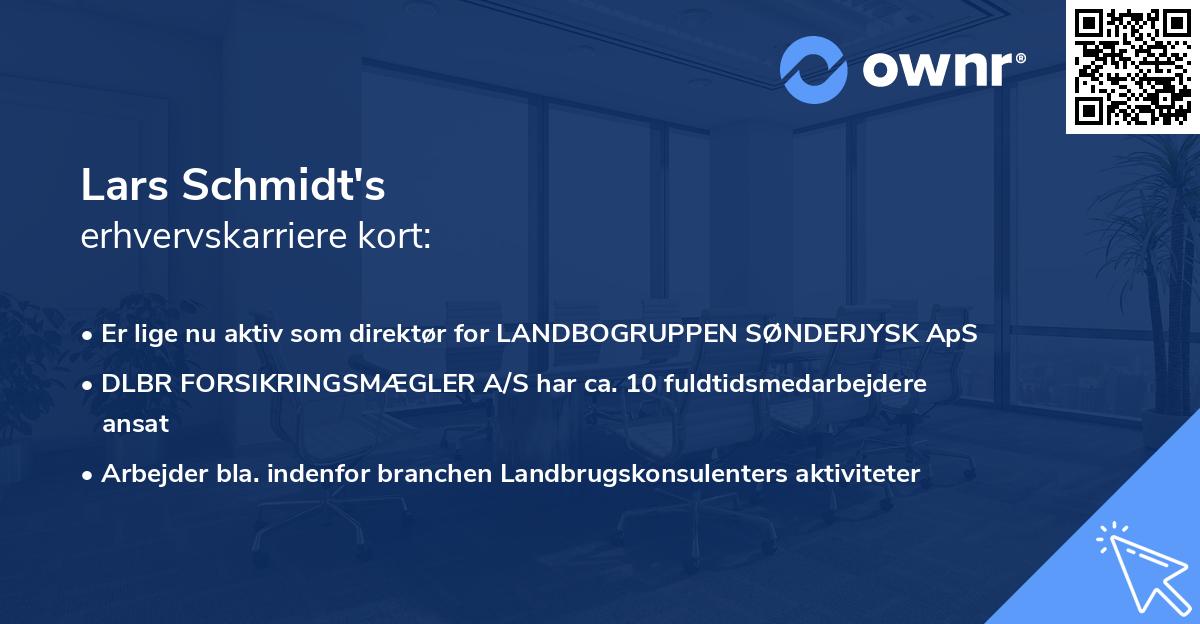 Lars Schmidt's erhvervskarriere kort