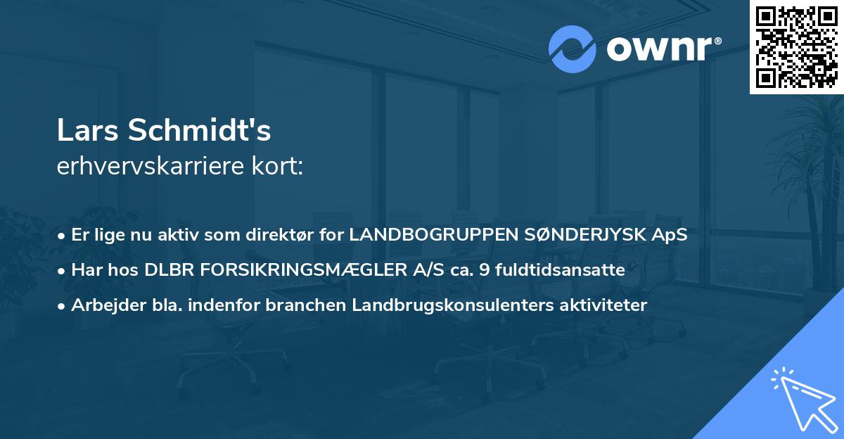 Lars Schmidt's erhvervskarriere kort